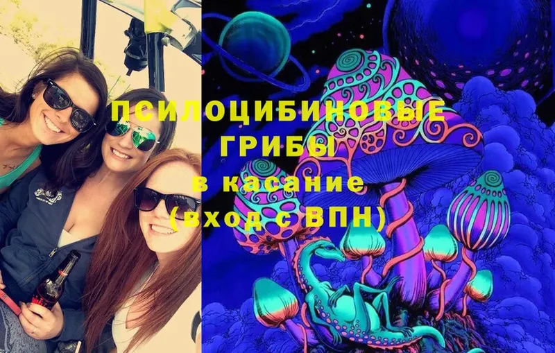 где купить наркоту  MEGA как войти  Галлюциногенные грибы Psilocybe  Белогорск 